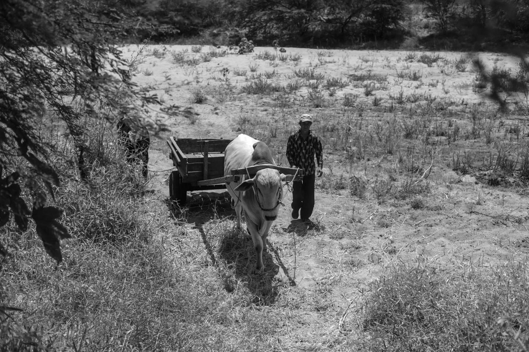 Fazenda Poco Pedras Sao Joao do Cariri