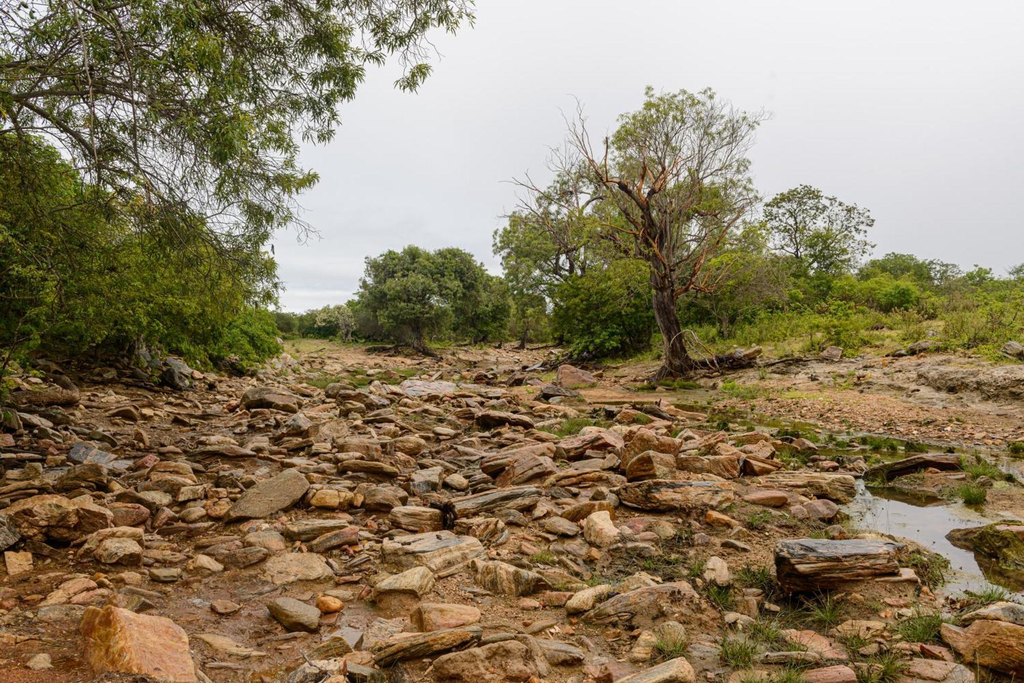 Fazenda Poco Pedras